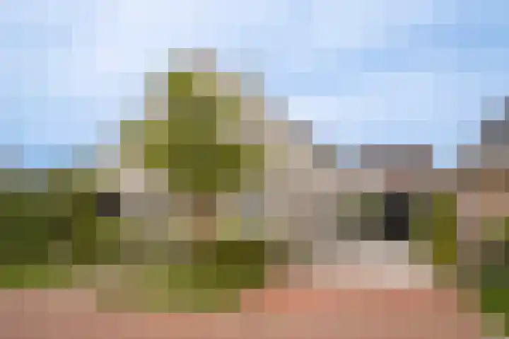 Wikke 16 Meteren thumbnail 63