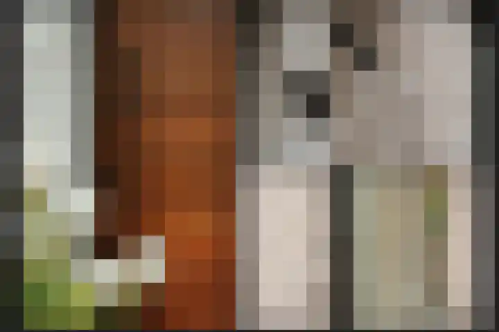 Wikke 16 Meteren thumbnail 65