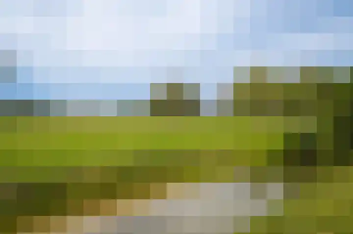 Wikke 16 Meteren thumbnail 66