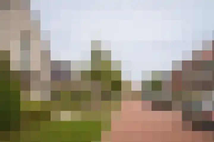 Wikke 16 Meteren thumbnail 67