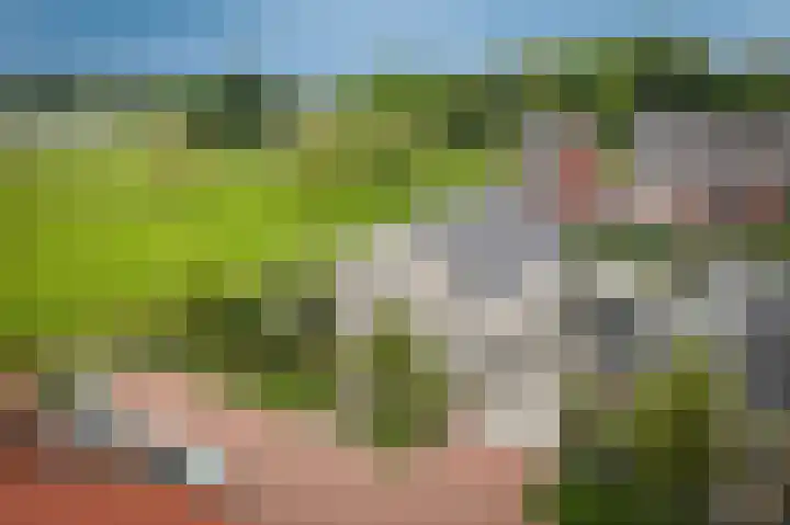Wikke 16 Meteren thumbnail 68