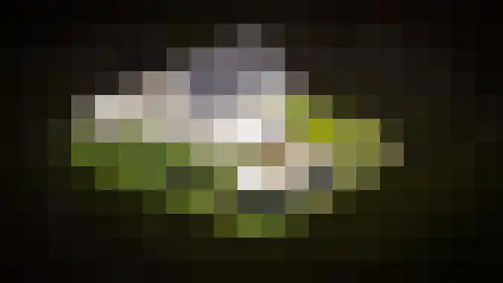 Wikke 16 Meteren thumbnail 69