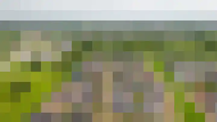 Wikke 16 Meteren thumbnail 71