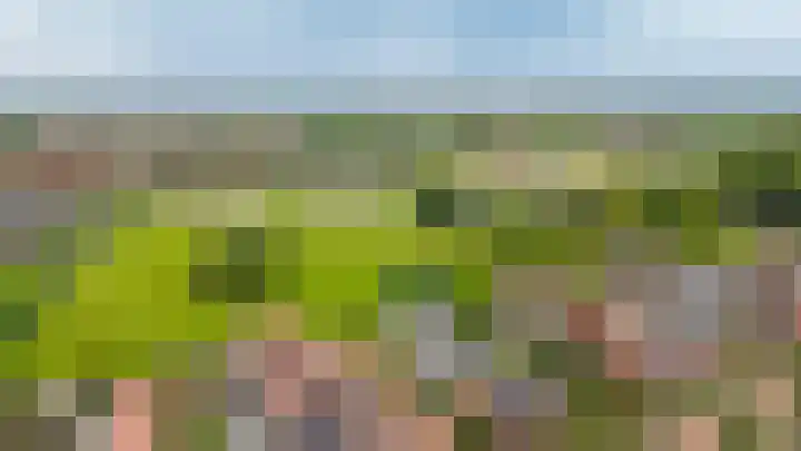 Wikke 16 Meteren thumbnail 73