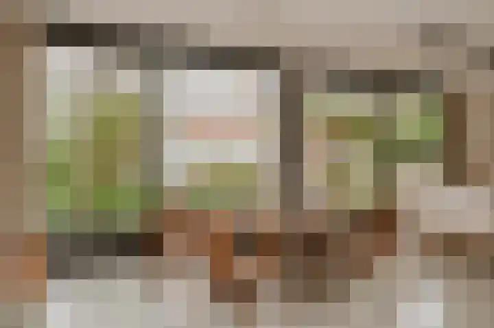 Wikke 16 Meteren thumbnail 9
