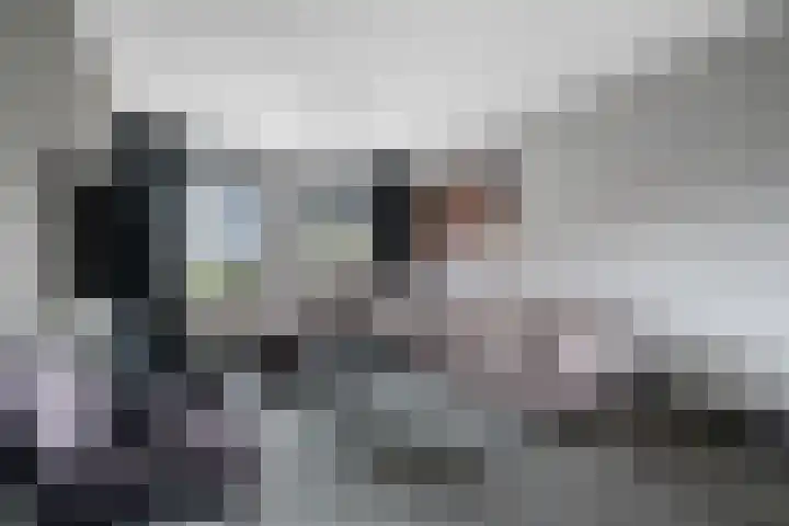 Wikkel 56 Emmer-Compascuum thumbnail 12
