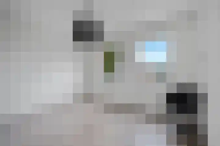 Wikkel 56 Emmer-Compascuum thumbnail 23