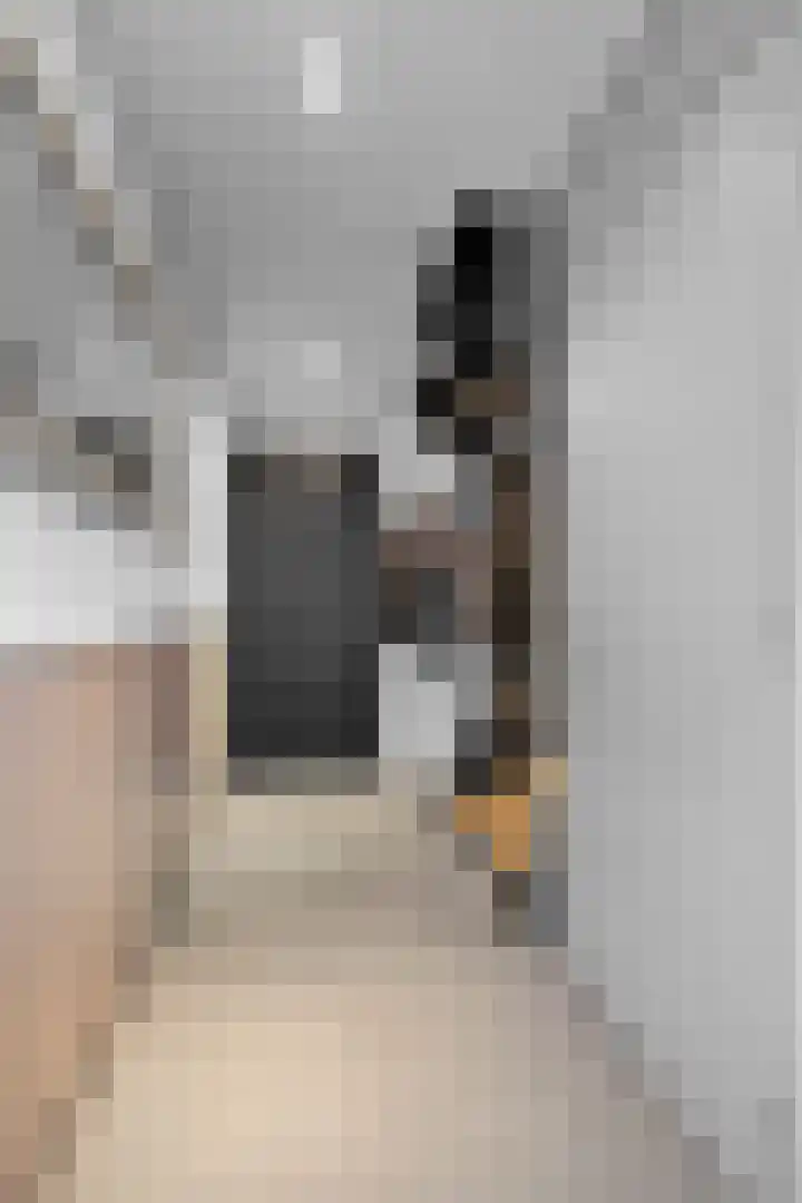 Wikkel 56 Emmer-Compascuum thumbnail 4