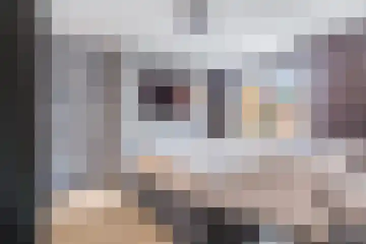 Wikkel 56 Emmer-Compascuum thumbnail 40