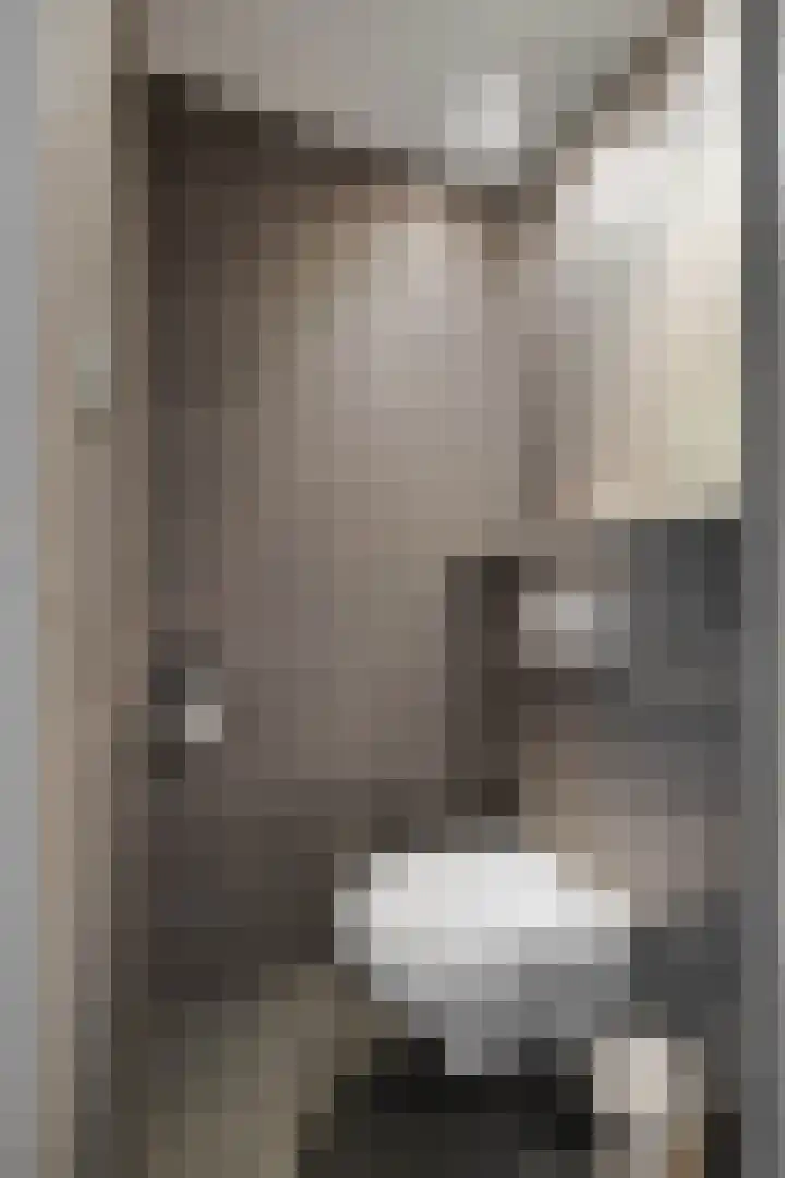 Wikkel 56 Emmer-Compascuum thumbnail 5