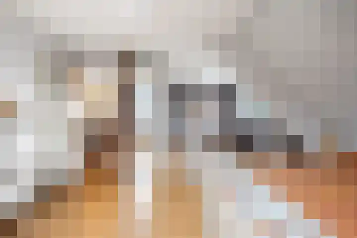 Wikkelaan 12 Bentveld thumbnail 15