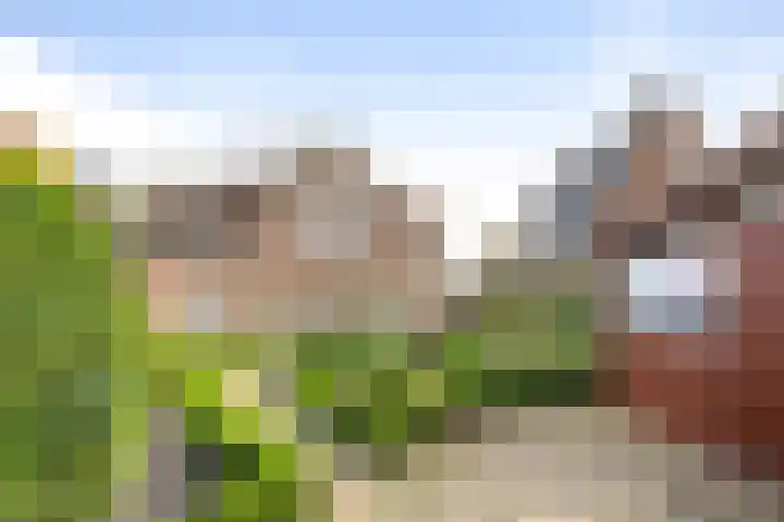 Wikkelaan 12 Bentveld thumbnail 32