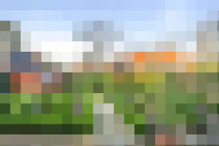 Wikkelaan 12 Bentveld thumbnail 34