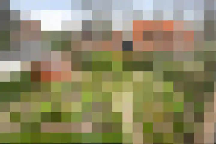 Wikkelaan 12 Bentveld thumbnail 35