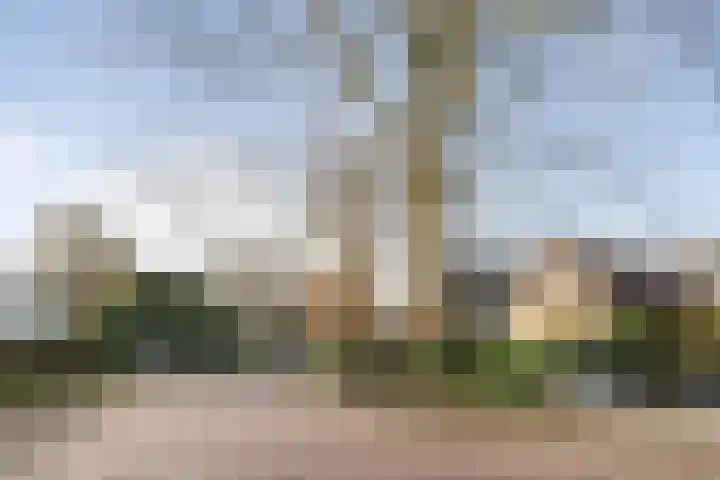 Wikkelaan 12 Bentveld thumbnail 39