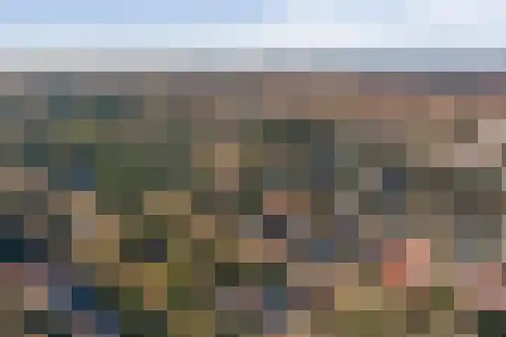 Wikkelaan 12 Bentveld thumbnail 42