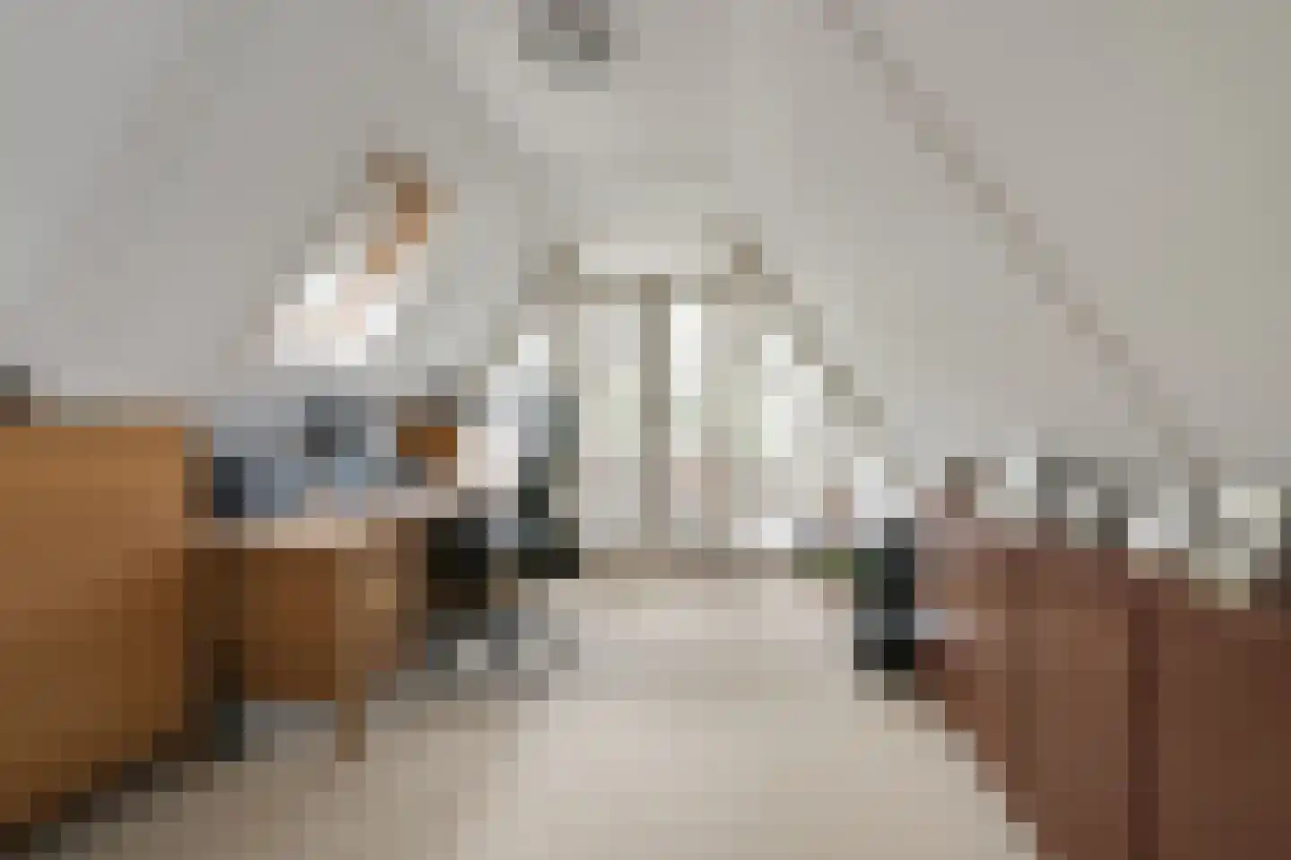 Wikkerinkweg 8 Aalten thumbnail 19