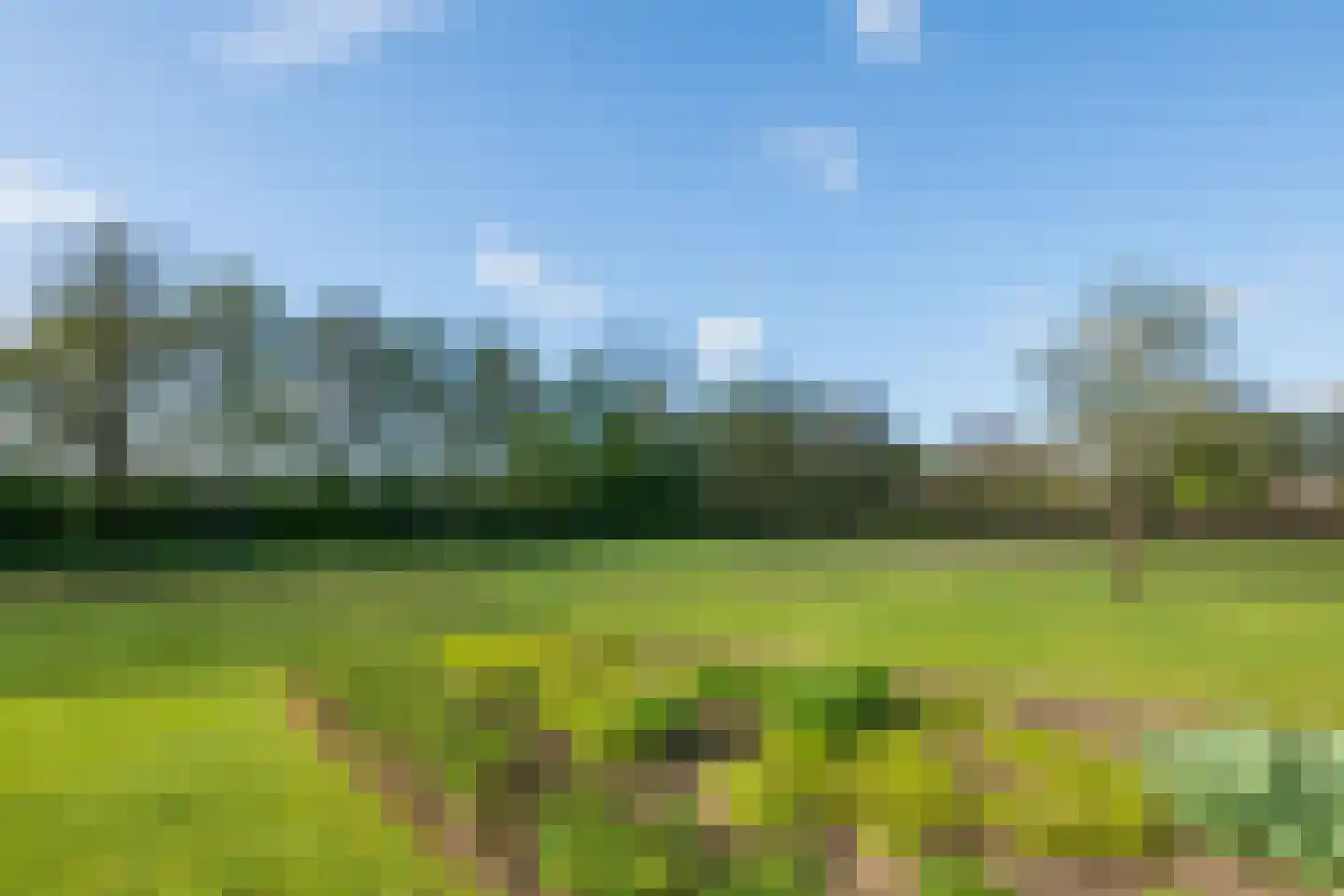 Wikkerinkweg 8 Aalten thumbnail 34