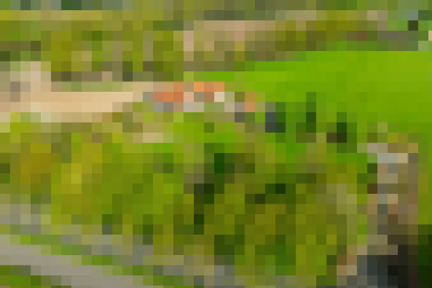 Wikkerinkweg 8 Aalten thumbnail 48