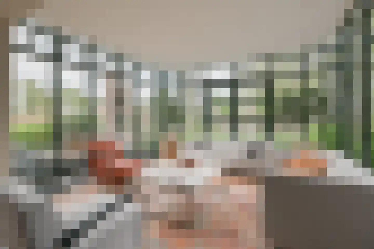 Wikkerinkweg 8 Aalten thumbnail 6