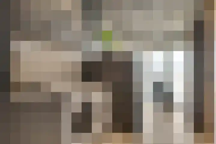 Wikkestraat 4 Ospel thumbnail 18