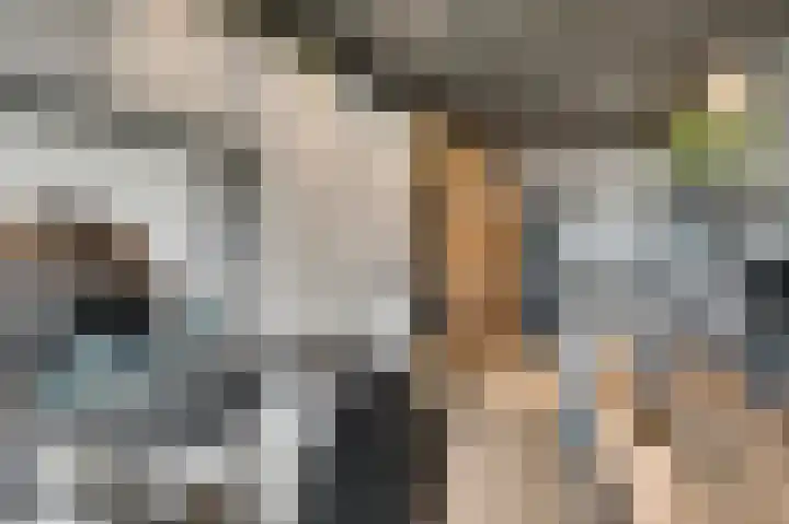 Wikkestraat 4 Ospel thumbnail 19