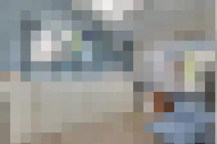 Wilack 301 Uden thumbnail 14