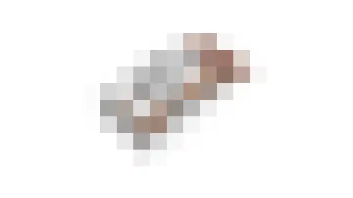Wilack 301 Uden thumbnail 30