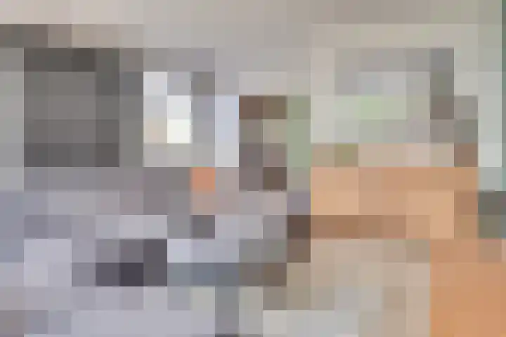 Wilack 301 Uden thumbnail 9