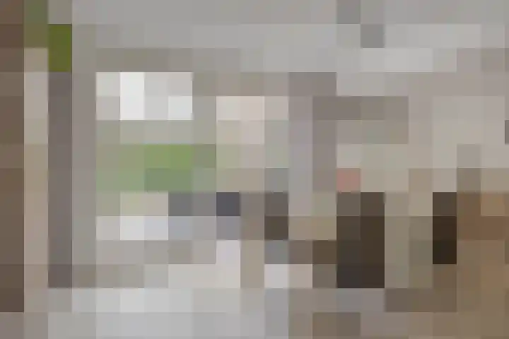 Wilack 306 Uden thumbnail 11