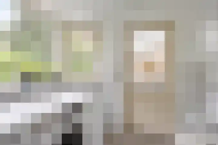 Wilack 306 Uden thumbnail 19