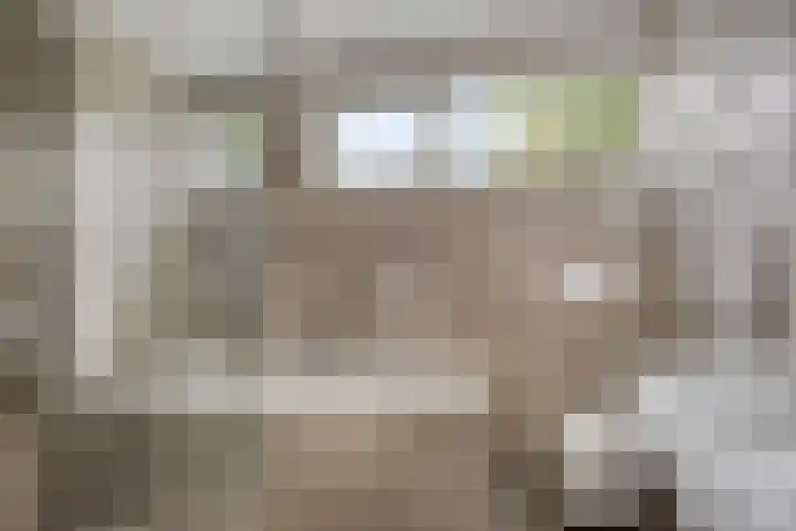 Wilack 306 Uden thumbnail 24