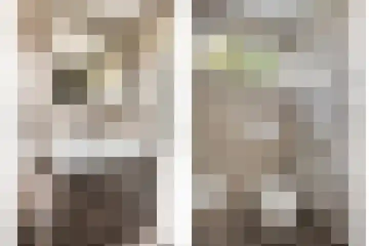 Wilack 306 Uden thumbnail 25