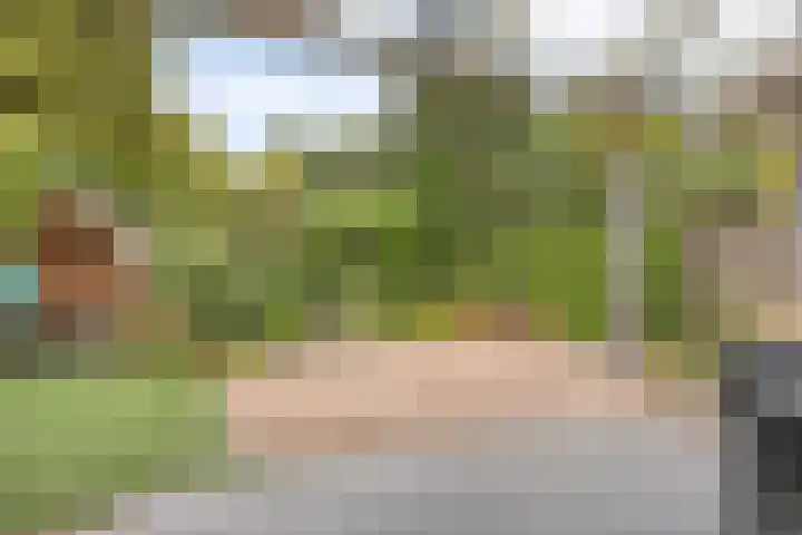 Wilack 306 Uden thumbnail 39