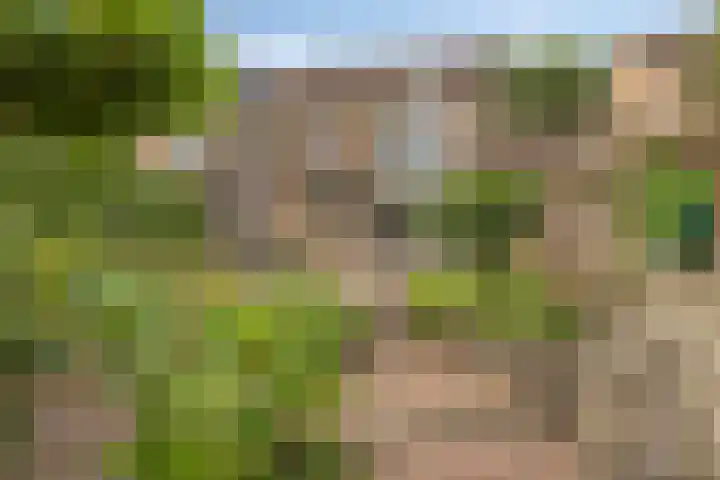 Wilack 306 Uden thumbnail 4