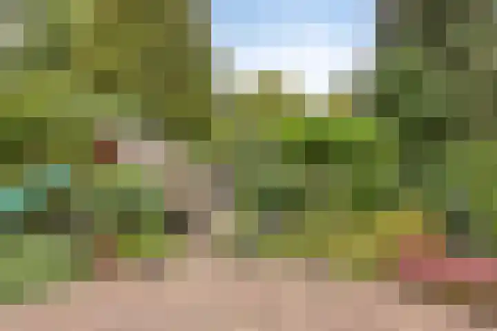 Wilack 306 Uden thumbnail 40