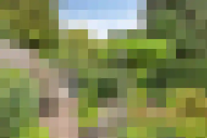 Wilack 306 Uden thumbnail 42