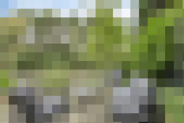Wilack 306 Uden thumbnail 44