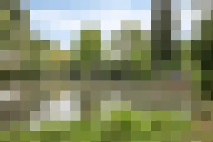 Wilack 306 Uden thumbnail 48