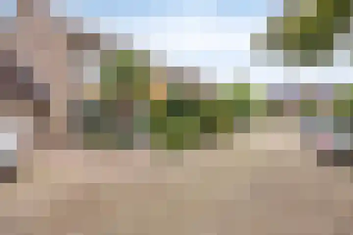 Wilack 306 Uden thumbnail 49