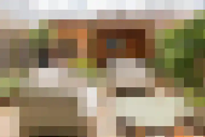 Wilbrinkbos 2 Hoofddorp thumbnail 17