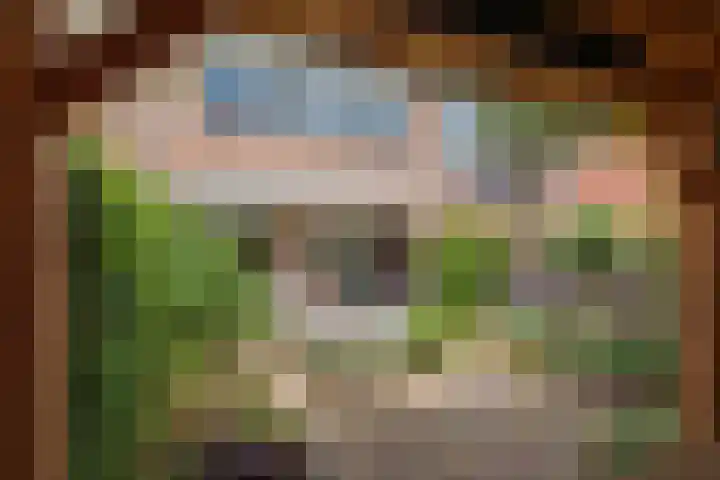 Wilbrinkbos 2 Hoofddorp thumbnail 19
