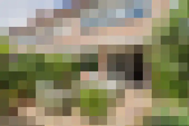 Wilbrinkbos 2 Hoofddorp thumbnail 20