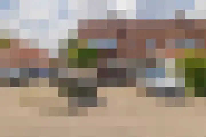 Wilbrinkbos 2 Hoofddorp thumbnail 38