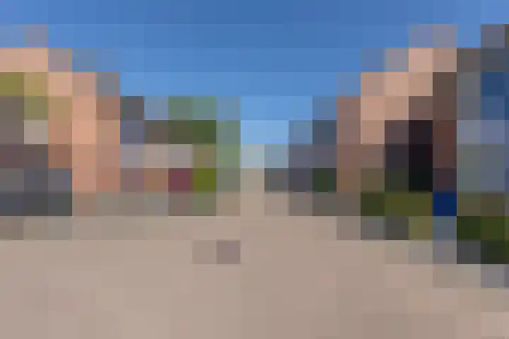 Wildbaan 20 Rotterdam thumbnail 23
