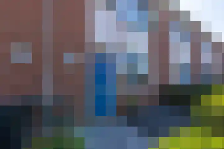 Wildbaan 20 Rotterdam thumbnail 6