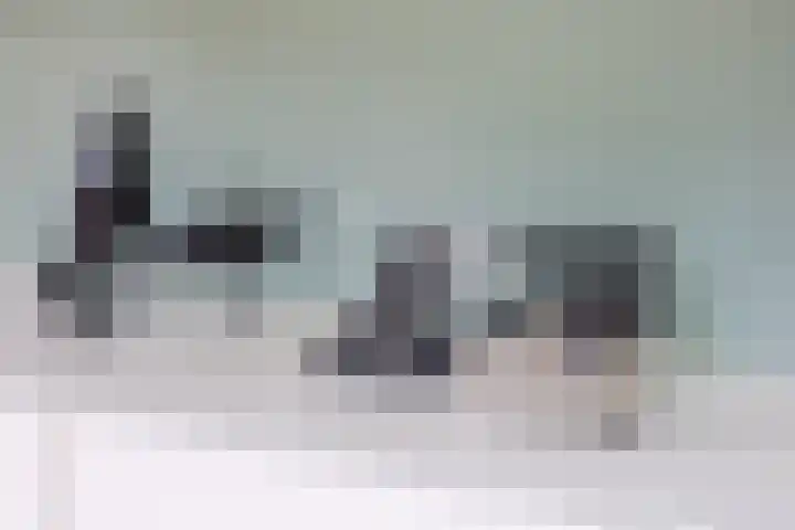 Wildbaan 9 Leersum thumbnail 16
