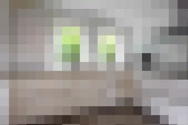 Wildbaan 9 Leersum thumbnail 21
