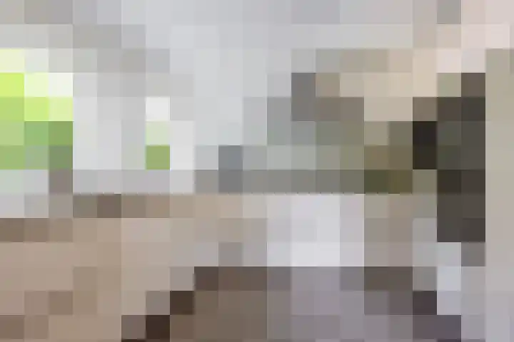 Wildbaan 9 Leersum thumbnail 22