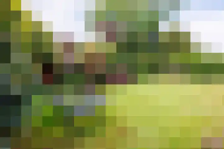 Wildbaan 9 Leersum thumbnail 30
